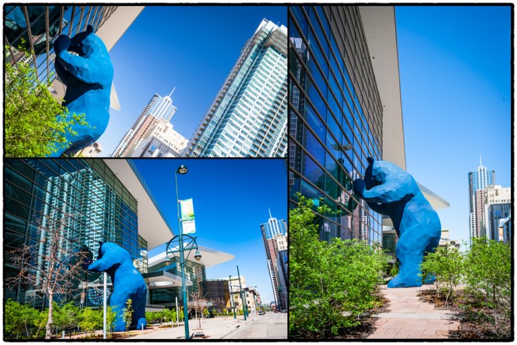 Blue Bear - Denver