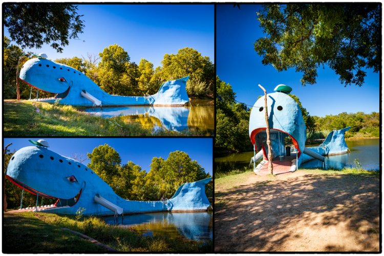 Blue Whale