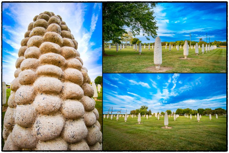 Field of Corn