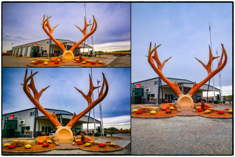 Giant Antler