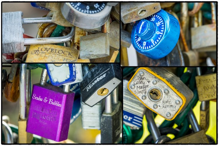 Lovelock
