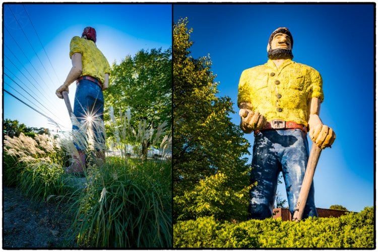 Mr Lumberjack - Muncie