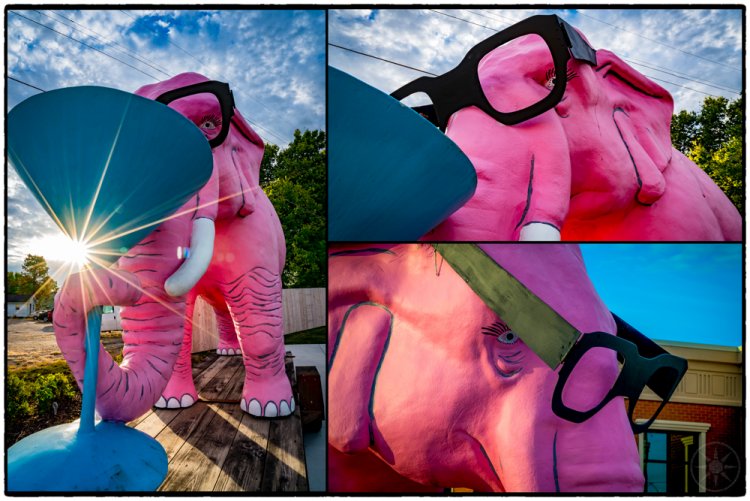 Pinkie the Martini Drinking Elephant