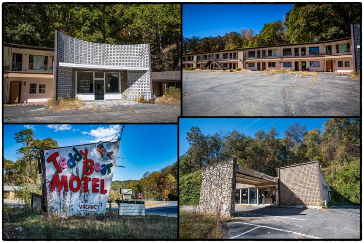 Teddy Bear Motel