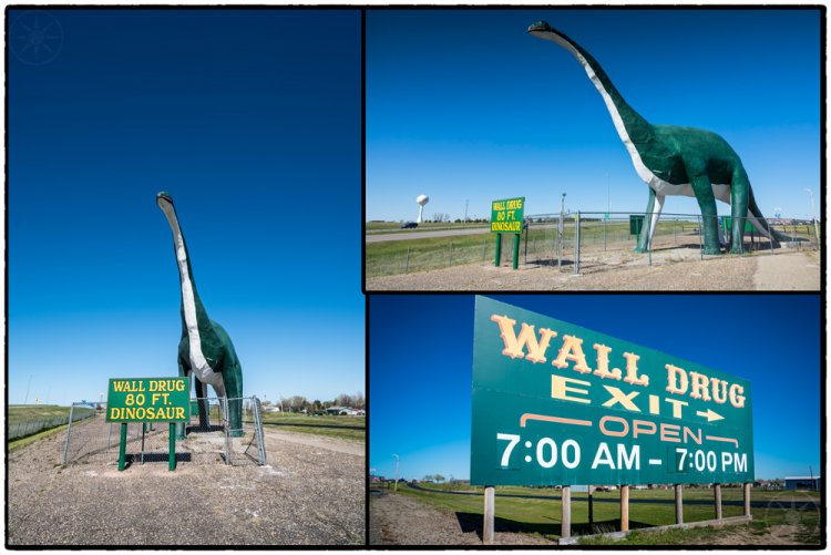 Wall Dinosur
