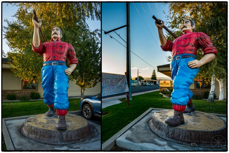 Lumberjack- Susanville, CA
